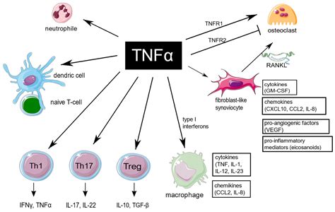 what are tnf drugs.